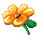 Wow, it's Blooming