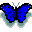 Amazon Blue Butterfly