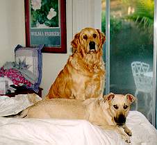 Do you think they shared this bed with us?