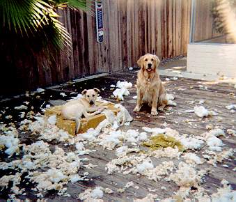 They dragged the cushions off the enclosed patio sofa