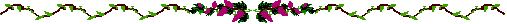 Fuschia Vine