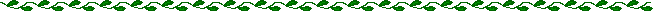 Long Ivy Vine