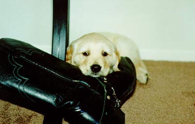 Wyatt loved black leather