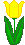 The Dutch Flower